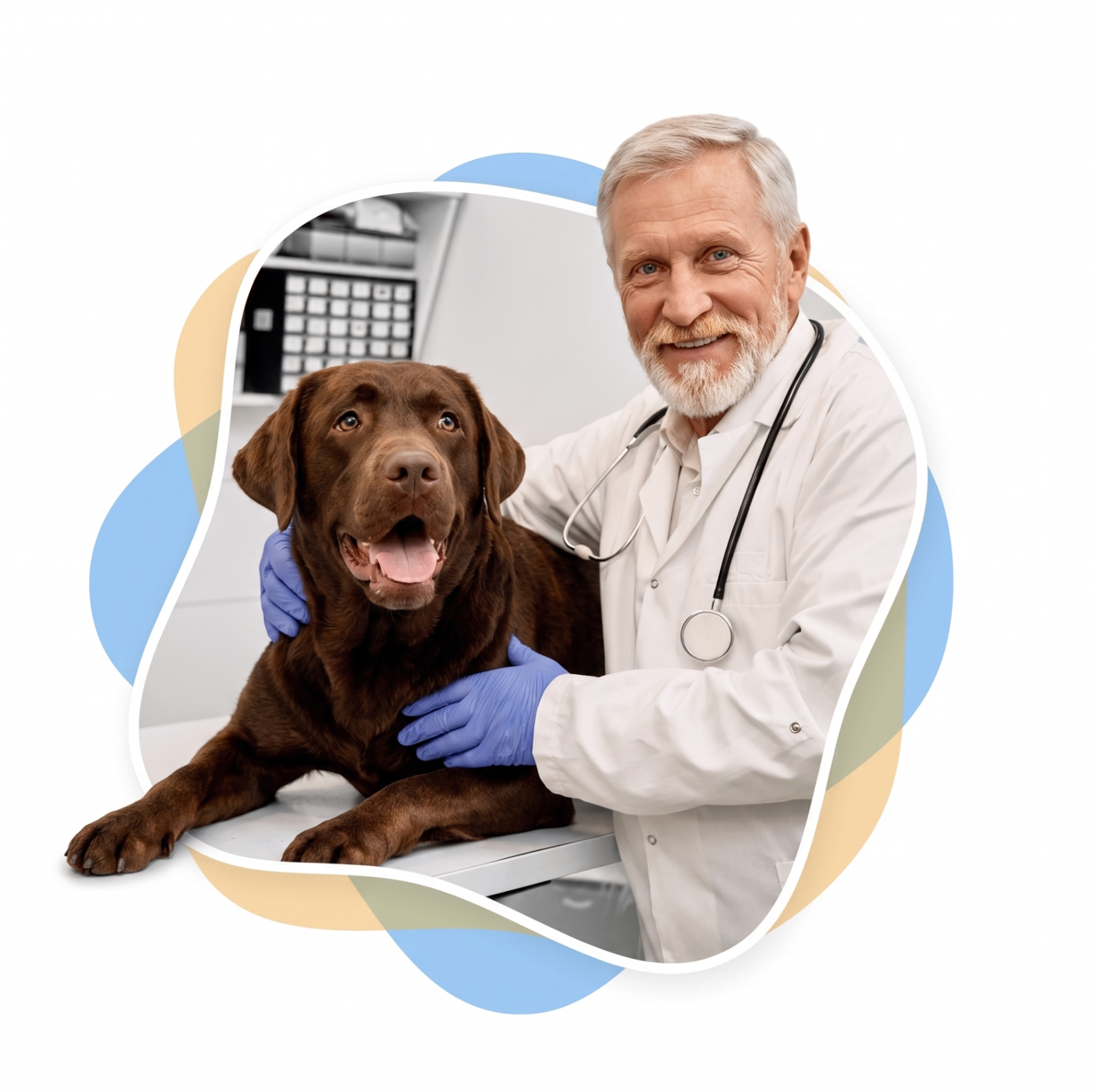 Veterinär med hund